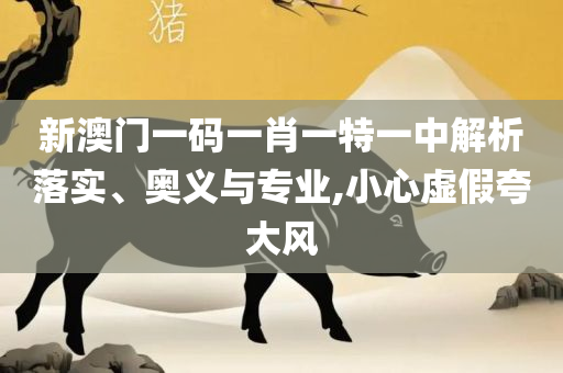 2025澳门天天彩六开彩直播,精选解析、解释与落实-抵制虚假迷障