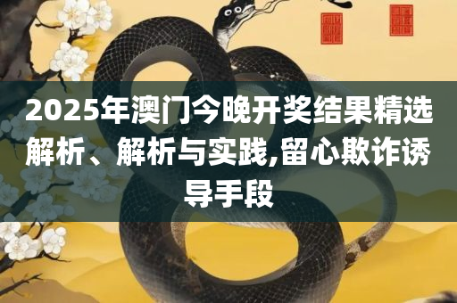 2025澳门六开奖全年记录-详细解答、解析与实践,拒绝虚假的表面光