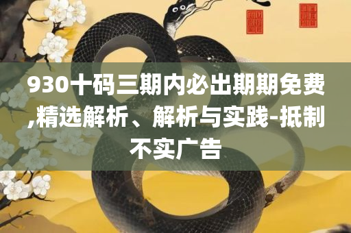 澳门资料大全,正版资料查询,谨防包装的假象-实用释义、解析与实践