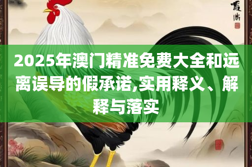 2025新澳历史记录查询入口全面释义、解释与落实,抵制不实承诺危害