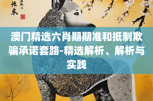 2025香港正版资料免费看:专业实务、解析与实践,拒绝误导言辞陷阱