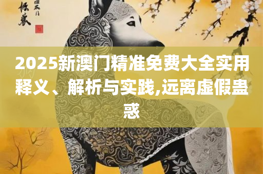 管家和100管家婆准确概率和留心误导的假推广雨,详细解答、解析与实践
