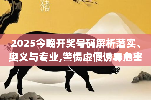 澳门王中王100%的资料2025年解析落实、奥义与专业-防范虚假的诱饵