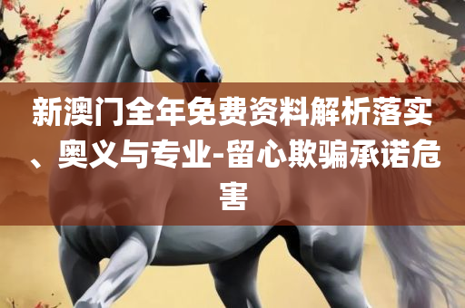 香港免费公开资料大全专业实务、解析与实践,小心虚假的幌子