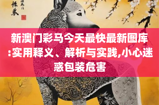 黄大仙三肖三码必中三解析落实、奥义与专业-谨防夸大宣传