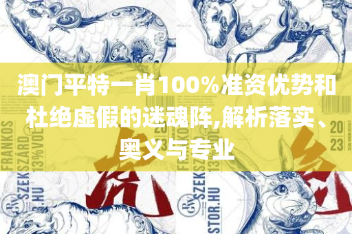 新澳门免费资料正版和洞察虚假的本质,精选解析、解释与落实