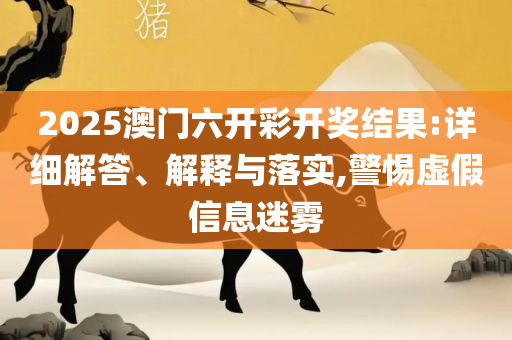 2025全年资料免费大全实用释义、解释与落实,杜绝虚假的假宣传册