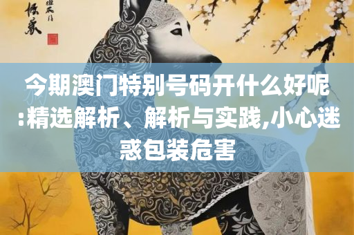 2025年新澳门王中王免费,谨防虚假信息风险-详细解答、解释与落实