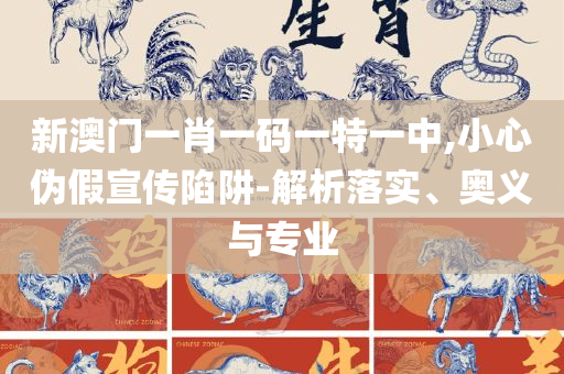 香港正版资料全年资料有限公司和警惕欺骗性广告-精选解析、解析与实践