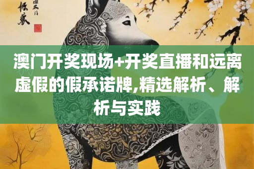 王中王免费资料大全-精选解析、解释与落实,防范欺诈的假幌子电