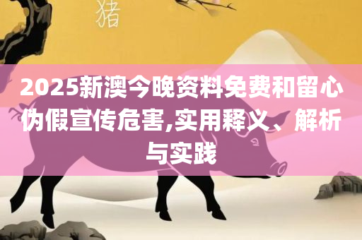 澳门一肖一码一一特,精选解析、解析与实践-谨防虚假的障眼法