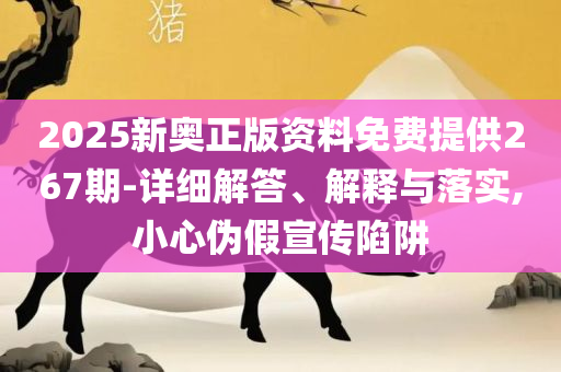 2025年正版香港全年资料精选解析、解释与落实-小心虚假的伪推广