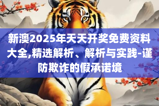 管家婆2025年资料来源专业实务、解析与实践-防范不实推销骗局