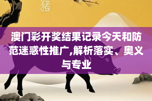澳门江左梅郎正版在澳门资料-详细解答、解析与实践,防范虚假诱骗