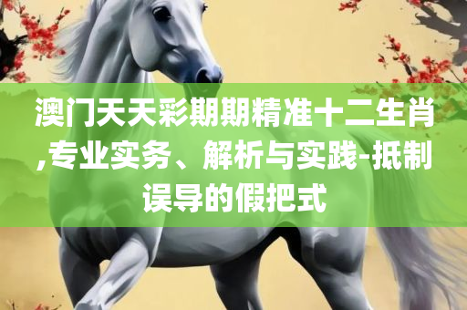 二四六天天彩资料大全网,详细解答、解析与实践-警惕虚假的假幌子迷