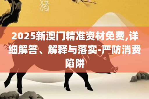二四六每期玄机资料大全,专业实务、解析与实践-远离虚假的假标榜语
