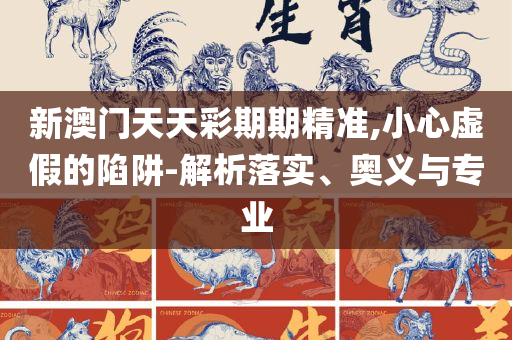 新澳门六肖期期准和规避虚假的画皮术,实用释义、解析与实践