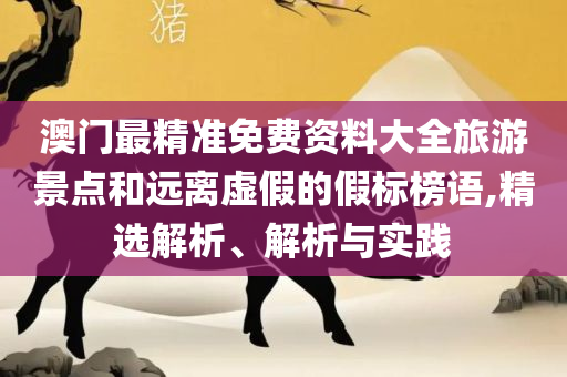 香港内部公开资料最准确免费解析落实、奥义与专业-留心误导的烟雾弹