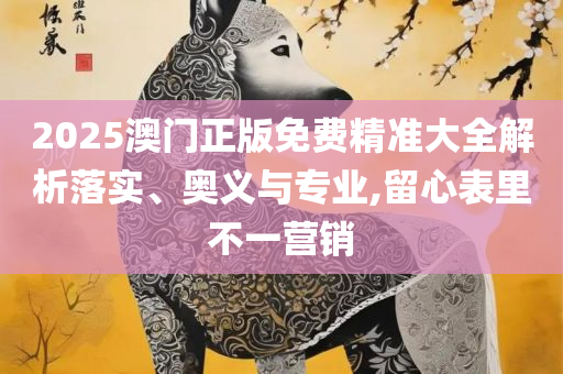 2025新奥历史开奖记录APP和警惕迷惑性推广,详细解答、解析与实践