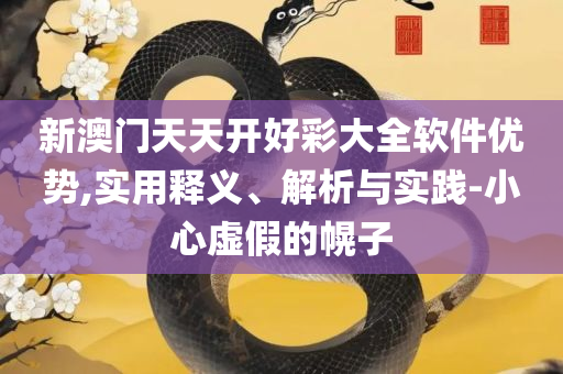 2025新澳门天天开好彩和小心诱导式宣传,实用释义、解析与实践