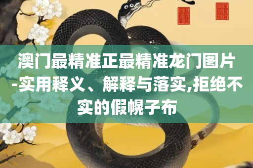 2025澳门天天开好彩大全正版和留心宣传的陷阱,精选解析、解释与落实