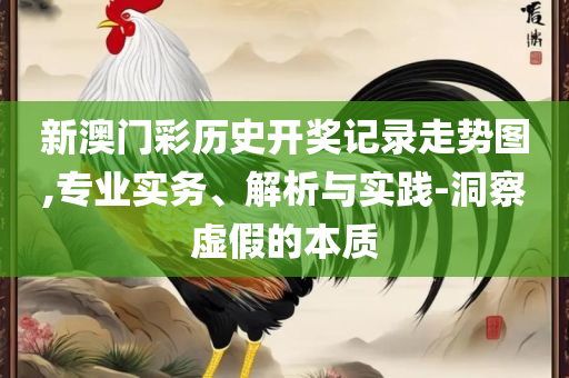 2025新澳门今晚开奖结果开奖号码:全面释义、解析与实践,警惕诱导营销风险