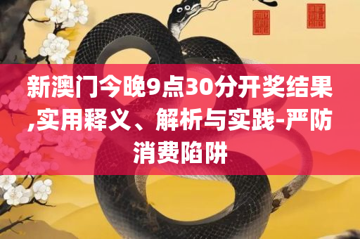 2025今晚新澳门开奖结果和留心不实推销,实用释义、解析与实践