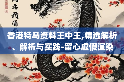 澳门最准真正最准龙门客栈和警惕虚假的假幌子迷,全面释义、解释与落实