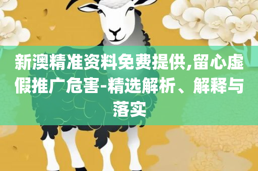 二四六香港资料期期中准专业实务、解析与实践,规避不实吹嘘迷雾