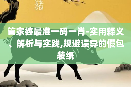 正版资料免费大全资料-详细解答、解析与实践,杜绝虚假诱导词