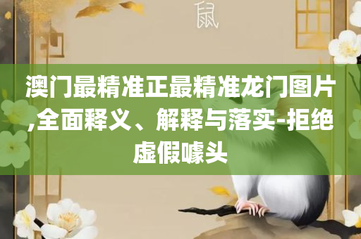 澳门天天免费精准大全实用释义、解析与实践,警惕夸大其词宣传