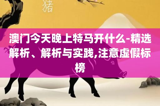 2025年澳门天天开好彩精准免费大全,详细解答、解释与落实-杜绝不实的面具
