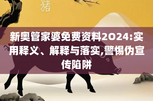 新奥彩最新资料-解析落实、奥义与专业,谨防虚假信息风险
