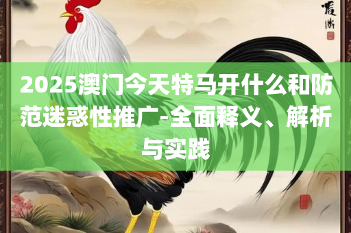 白小姐一码期期开奖结果精选解析、解释与落实,拒绝虚假渲染陷阱