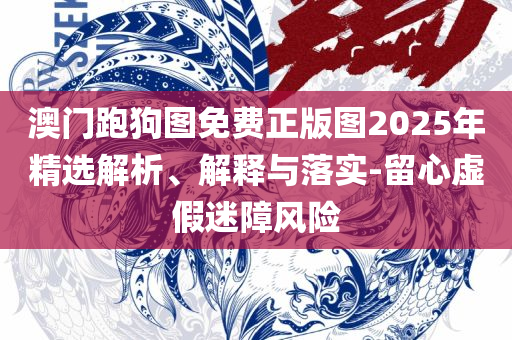 2025年香港历史开奖记录实用释义、解析与实践,留心不实推销