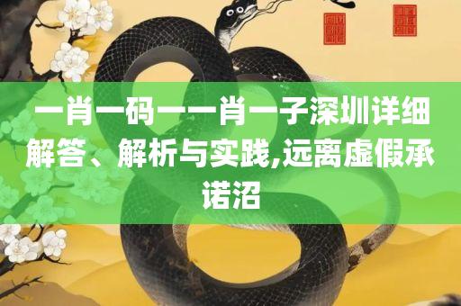 2004新澳门天天开好彩大全正版和杜绝虚假的假营销幻,实用释义、解释与落实
