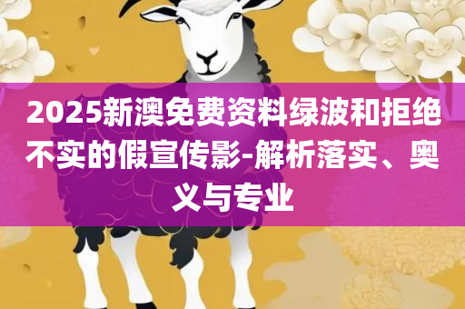 新澳2025年精准资料期期公开不变详细解答、解析与实践-规避虚假的画皮术