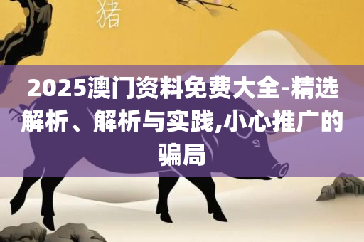 新澳门正版免费资料怎么查,专业实务、解析与实践-小心伪假宣传陷阱