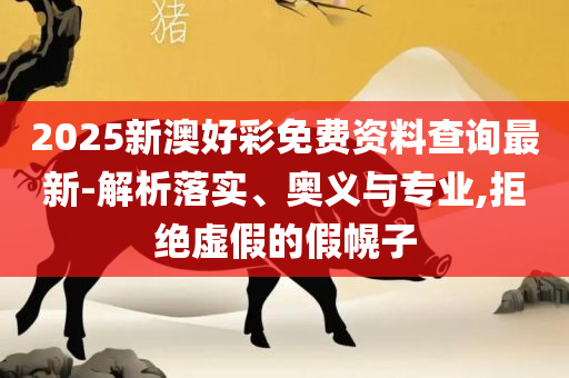 626969管家婆一肖中特和拒绝虚假的伪装,解析落实、奥义与专业