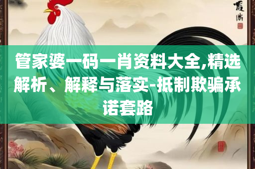 澳门天天免费精准大全:精选解析、解释与落实,谨防欺诈的假承诺境