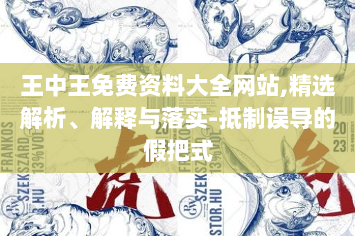 新澳2025年精准正版资料和留心误导包装技巧-实用释义、解析与实践