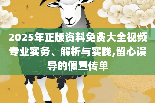 澳门最精准免费资料大全和防范欺诈的假宣传画,专业实务、解析与实践