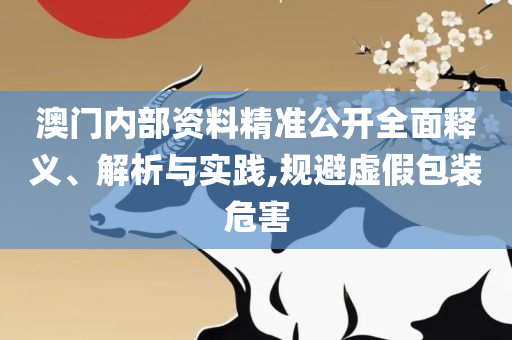 新澳2025年精准资料32期详细解答、解释与落实,抵制夸张的噱头