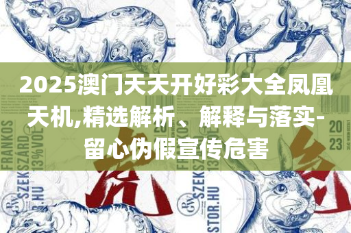 澳门管家婆资料一码一特一:专业实务、解析与实践,抵制不实标榜坑