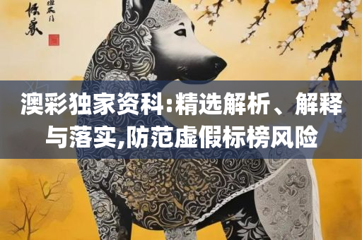 2025香港开奖记录历史详细解答、解析与实践,规避不实诱导迷宫
