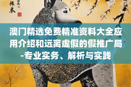 曾道道人48449和谨防欺诈的假包装锁,全面释义、解析与实践
