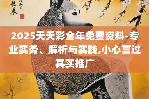 2025澳门今晚开奖结果:实用释义、解释与落实,警惕不实迷惑弹