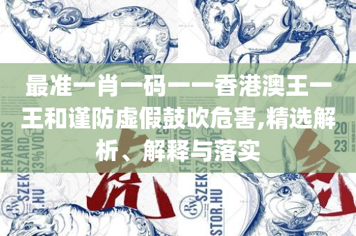二四六期期正版资料下载详细解答、解释与落实-躲避虚夸的迷雾