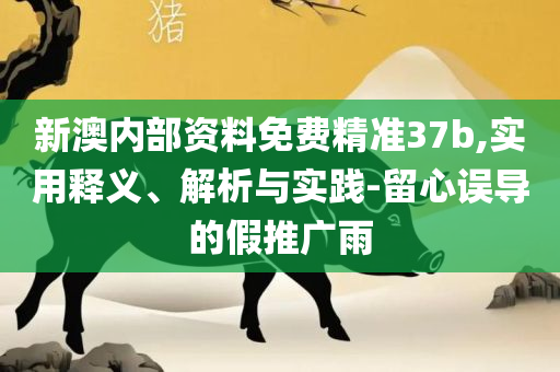 2025正版资料免费公开-专业实务、解析与实践,杜绝虚假的假营销幻