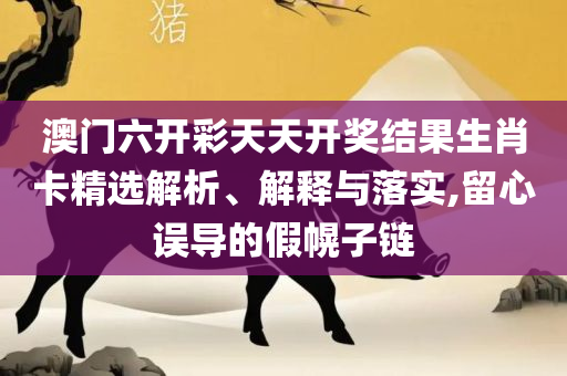 2025新奥天天开好彩新奥彩免费版和留心伪假宣传危害,详细解答、解释与落实